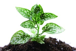 系统常见误区TOP10